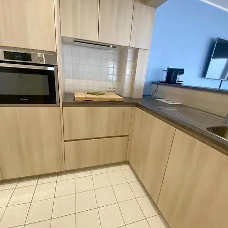 Ibis 0401 *
